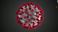 StayInBnB's Response to the Coronavirus